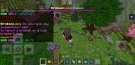 Screenshot_20200417-191734_Minecraft.jpg