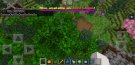 Screenshot_20200417-191713_Minecraft.jpg