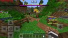 Screenshot_20200428-195814_Minecraft.jpg