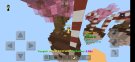Screenshot_20200506-161308_Minecraft.jpg