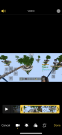 D1738497-22B8-4C93-8E9F-37710D244396.png
