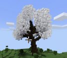3D899CAE-290F-4FF1-902C-D9DE4AF3CD9F.jpeg
