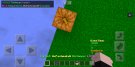 Screenshot_2020-05-30-19-49-45-351_com.mojang.minecraftpe.jpg