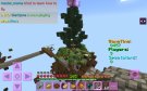 Screenshot_20200531-000911_Minecraft.jpg