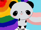 canvas.png