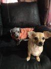IMG_20200604_161510.jpg