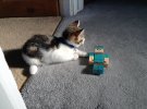 image.jpeg