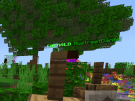 CDAA58B8-A9A1-4517-98AE-EBA2249012D7.png