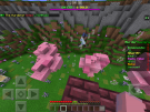 69E6DDE4-D19E-4E24-9E97-39AFBBA95C9C.png