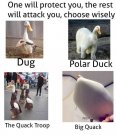5c12d49910642.jpeg
