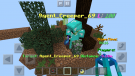 IMG_2919.PNG