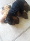 20200910_125323.jpg