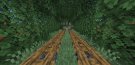 Screenshot_20201029-033053.jpg