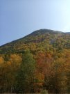 IMG_20200926_105151.jpg