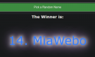 winner.PNG