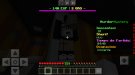 Screenshot_20201123-130529_Minecraft.jpg
