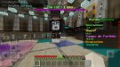 Screenshot_20201123-205259_Minecraft.jpg
