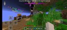 Screenshot_۲۰۲۰۱۱۲۵-۱۲۳۸۲۸_Minecraft.jpg