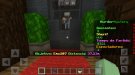 Screenshot_20201126-132239_Minecraft.jpg