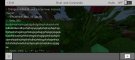 Screenshot_۲۰۲۰۱۲۰۵-۱۸۴۴۲۸_Minecraft.jpg