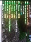 3D735412-3BFD-496F-9955-A95EA19E8683.jpeg