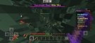 HNS bug 2.jpeg