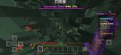 HNS Bug 3.jpeg
