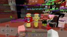 Screenshot_20201223-184232_Minecraft.jpg
