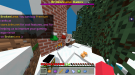 Minecraft 12_25_2020 10_45_18 PM.png