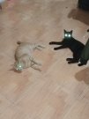 IMG_20201118_175433.jpg