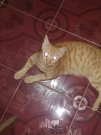 IMG_20201106_190110.jpg