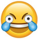 images (15).jpeg