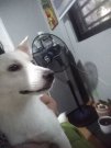 IMG_20200826_181401.jpg