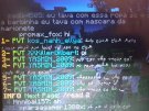 16103063986761305858592551901830.jpg