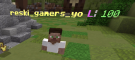 reski_gamers_yo.png