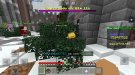 Screenshot_20201221-010821_Minecraft.jpg