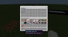Screenshot_20210202-215400_Minecraft.jpg