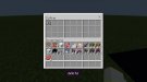 Screenshot_20210202-215344_Minecraft.jpg