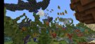Screenshot_20210212_171810.jpg