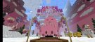 Screenshot_20210213-081912_Minecraft.jpg