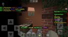 Screenshot_20210214-210235_Minecraft.jpg
