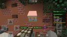 Screenshot_20210214-210203_Minecraft.jpg