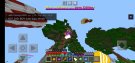 Screenshot_۲۰۲۱۰۲۱۹-۱۸۱۹۲۴_Minecraft.jpg