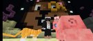 Screenshot_20210220-195149_Minecraft.jpg