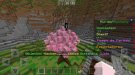 Screenshot_20210301-162114_Minecraft.jpg