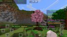 Screenshot_20210301-162102_Minecraft.jpg