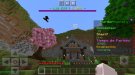 Screenshot_20210301-161819_Minecraft.jpg