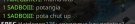 B1797719-CD3B-4720-9D52-46537AAC476C.jpeg