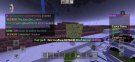SpingBeet87610 4.jpeg