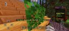 GeniuneBrake589 2.jpeg